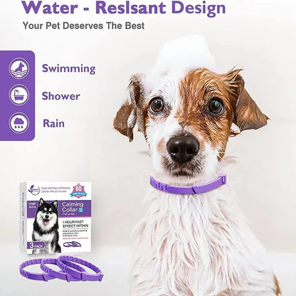 Calm & Comfort Natural Pet Collar