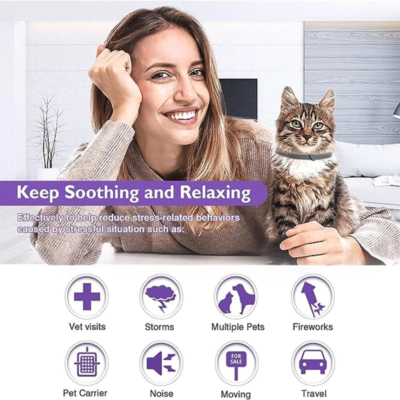 Calm & Comfort Natural Pet Collar