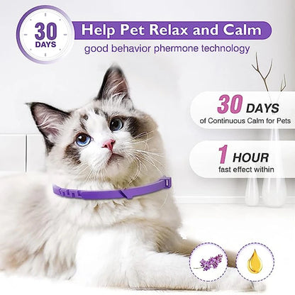Calm & Comfort Natural Pet Collar