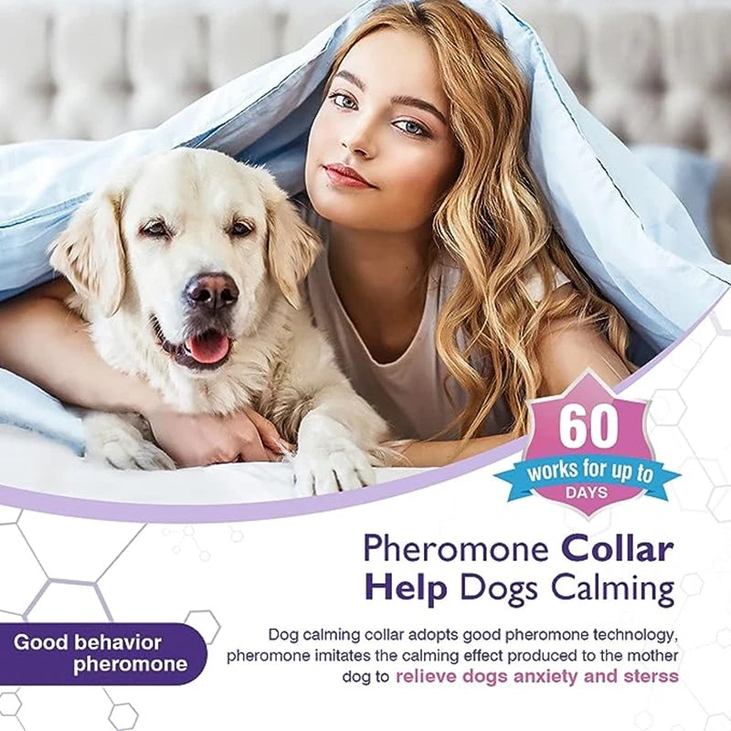 Calm & Comfort Natural Pet Collar