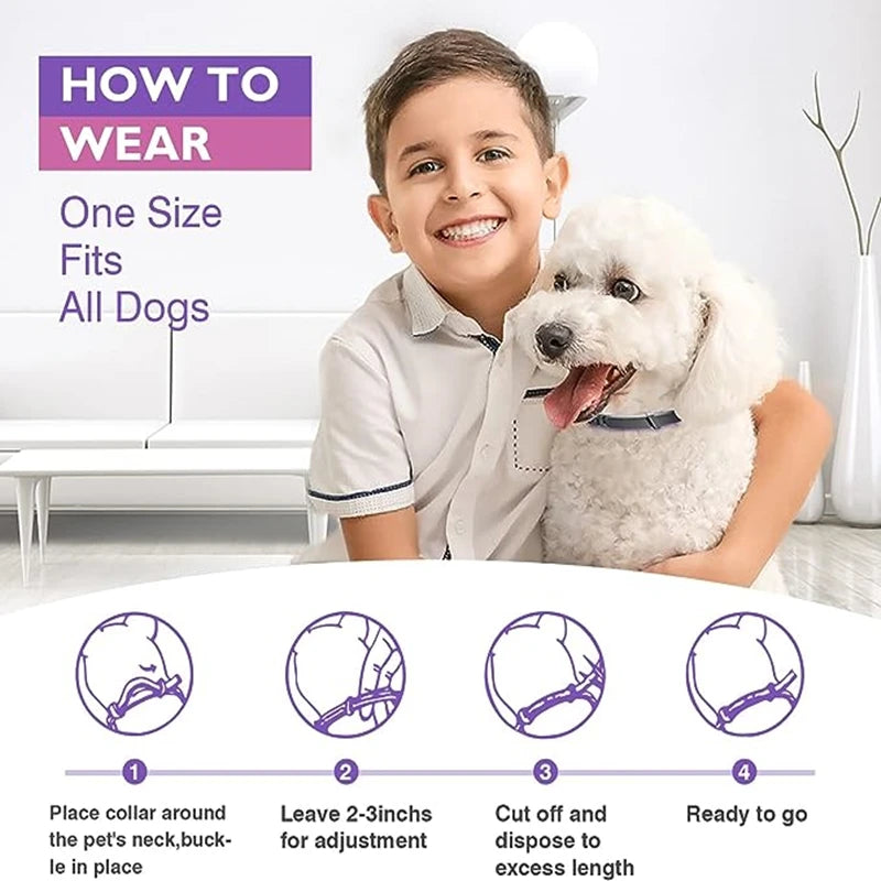 Calm & Comfort Natural Pet Collar